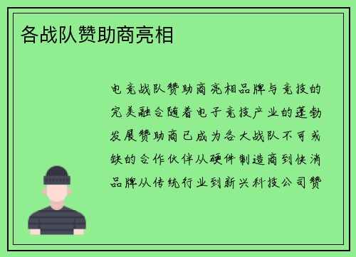 各战队赞助商亮相