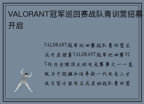 VALORANT冠军巡回赛战队青训营招募开启