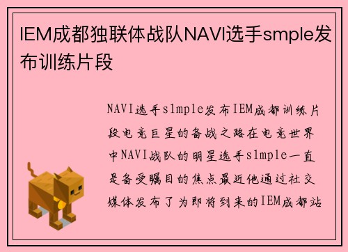 IEM成都独联体战队NAVI选手smple发布训练片段