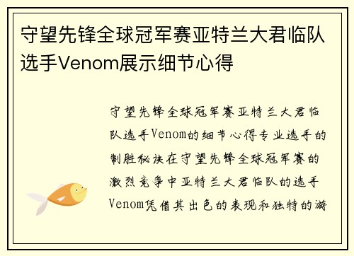 守望先锋全球冠军赛亚特兰大君临队选手Venom展示细节心得