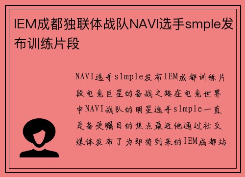 IEM成都独联体战队NAVI选手smple发布训练片段