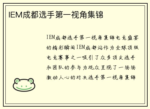 IEM成都选手第一视角集锦